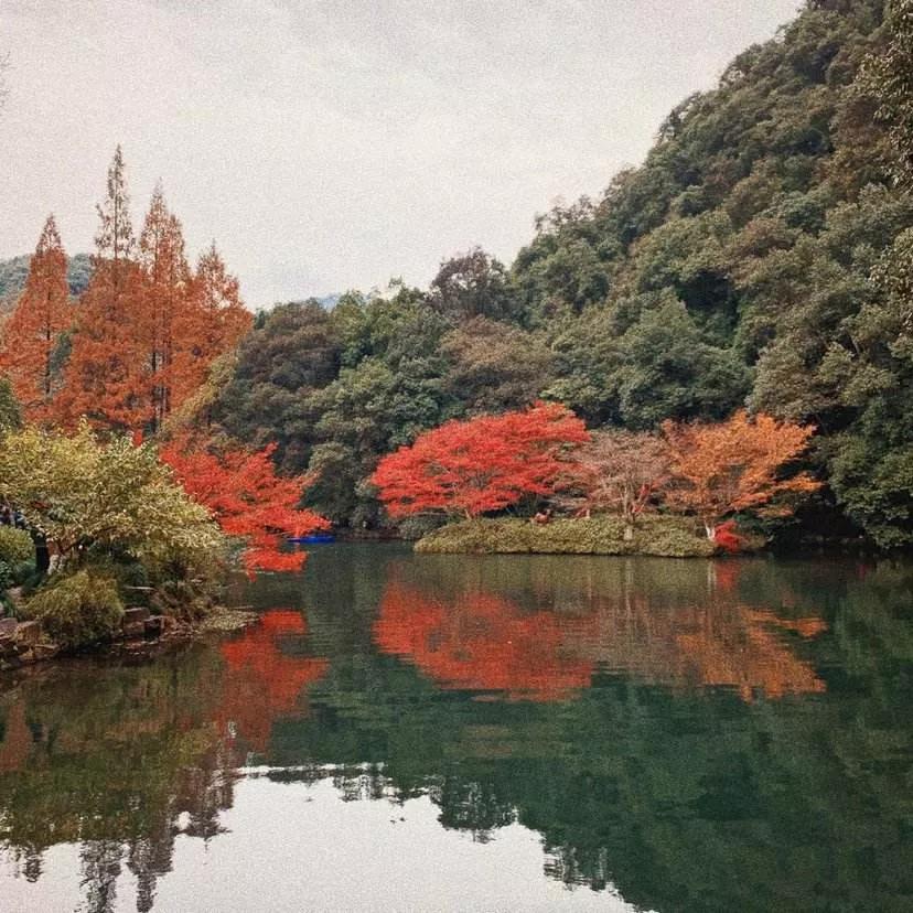 冬天和火锅都不会缺席,冬天和你不期而遇