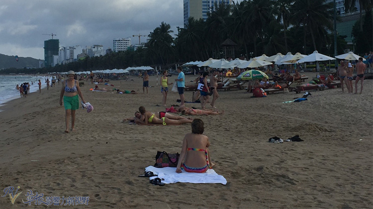 瓒婂崡鑺藉簞娴锋哗鏅尯瑙嗛,瓒婂崡鑺藉簞榛戝矝娴锋哗