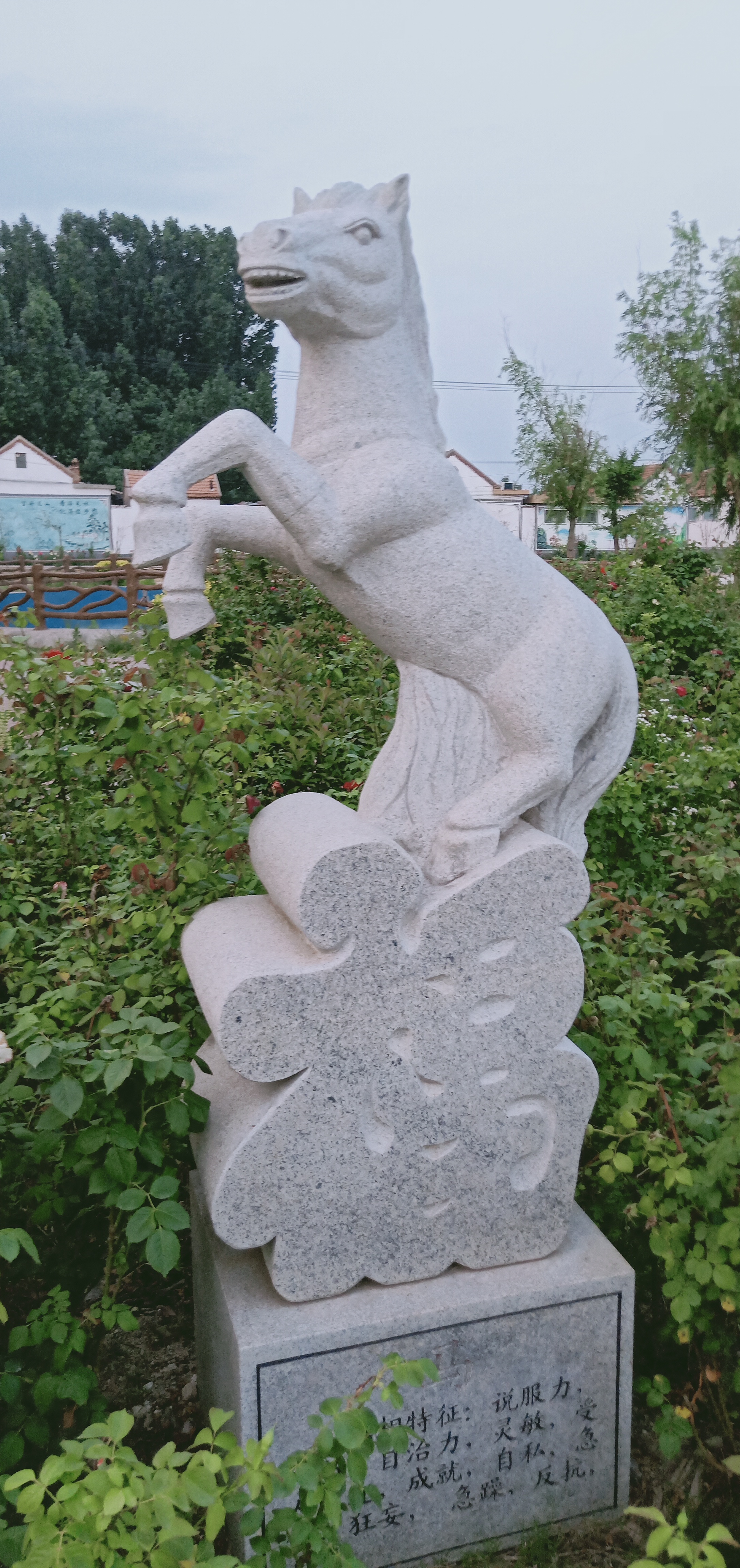 怎么介绍自己的属相给大家听,属相了解一个人