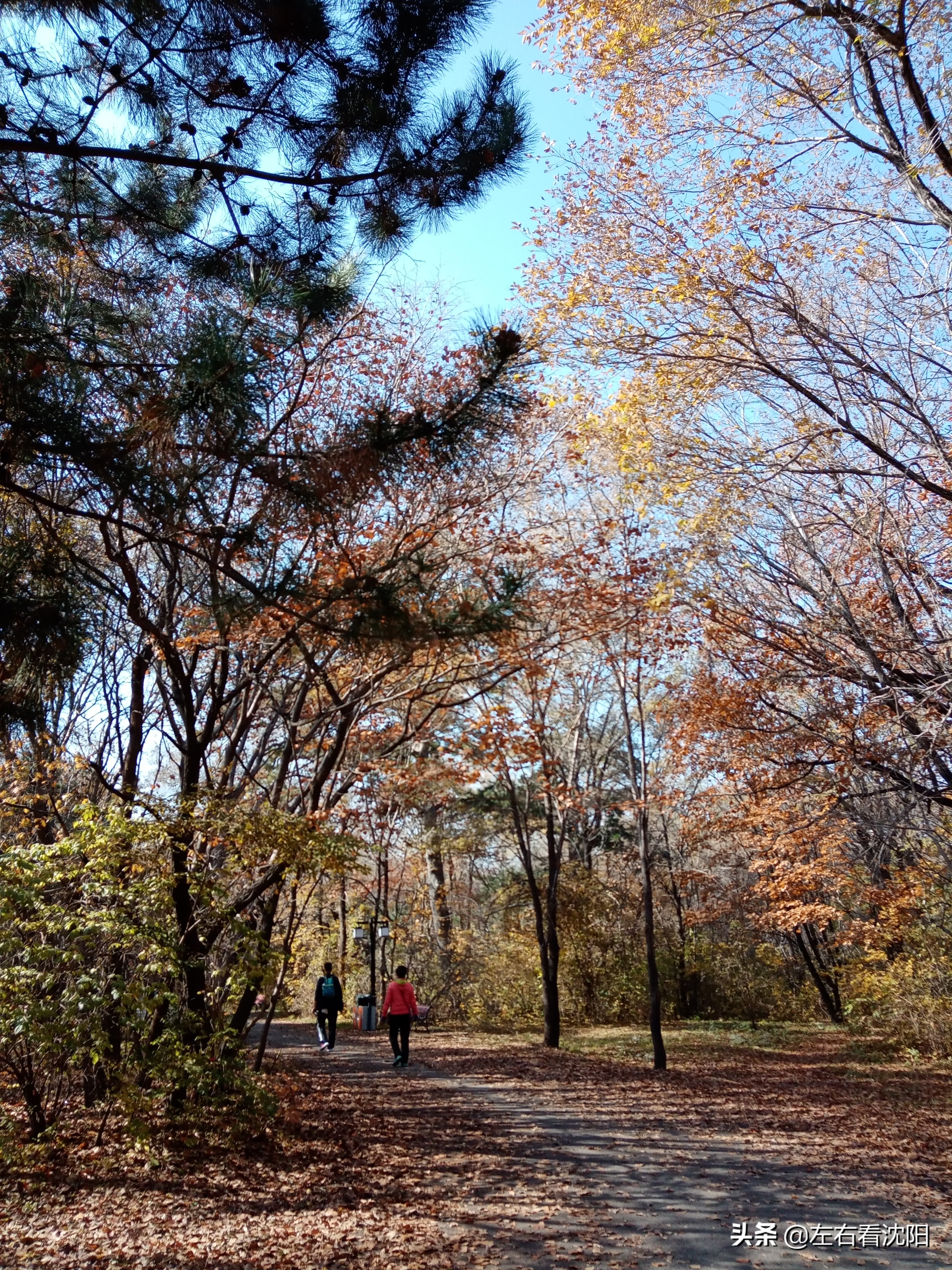 秋季沈阳北陵公园有啥好玩的,漫步沈阳北陵公园湖水边