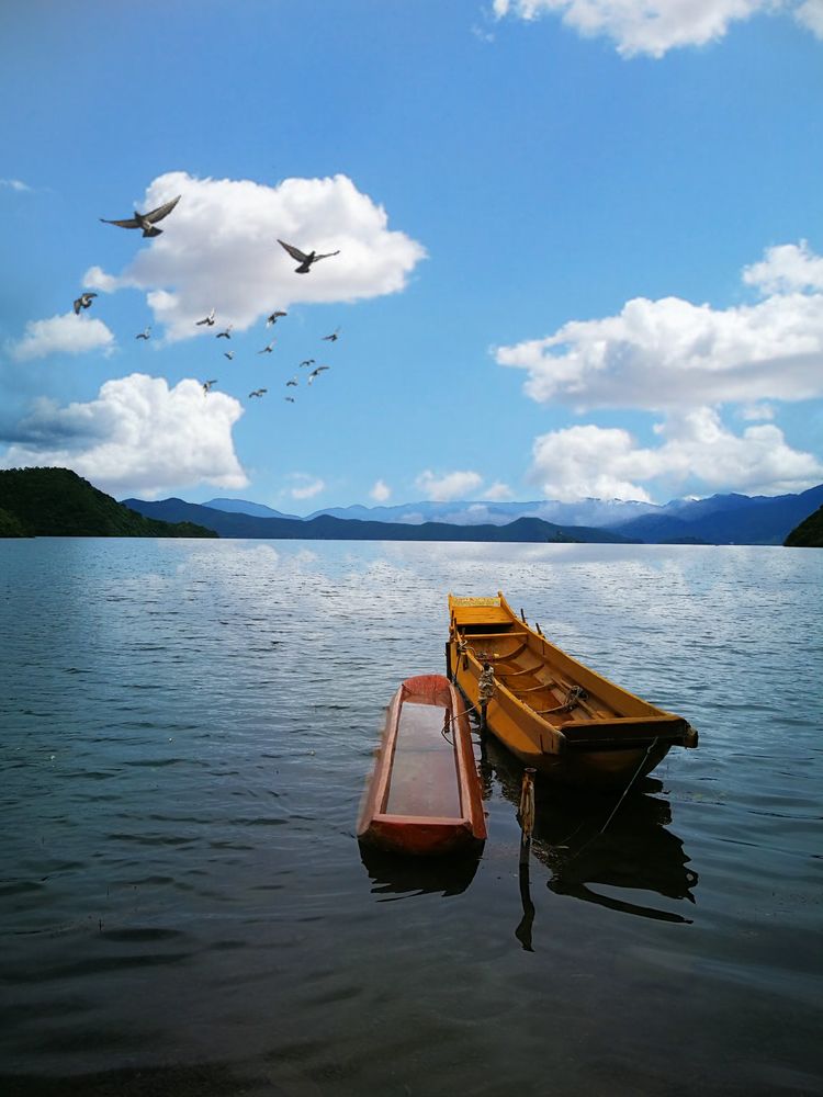 鎽勫奖鏂版墜璐拱鐩告満娉ㄦ剰浜嬮」,鎷嶅绾辨憚褰辫娉ㄦ剰浜嬮」