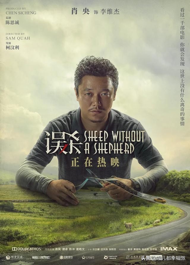 误杀原生家庭背后的救赎,误杀人生感悟