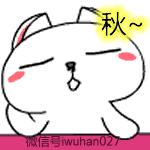 武汉话最最最简单的教学,三分钟教你学会武汉话