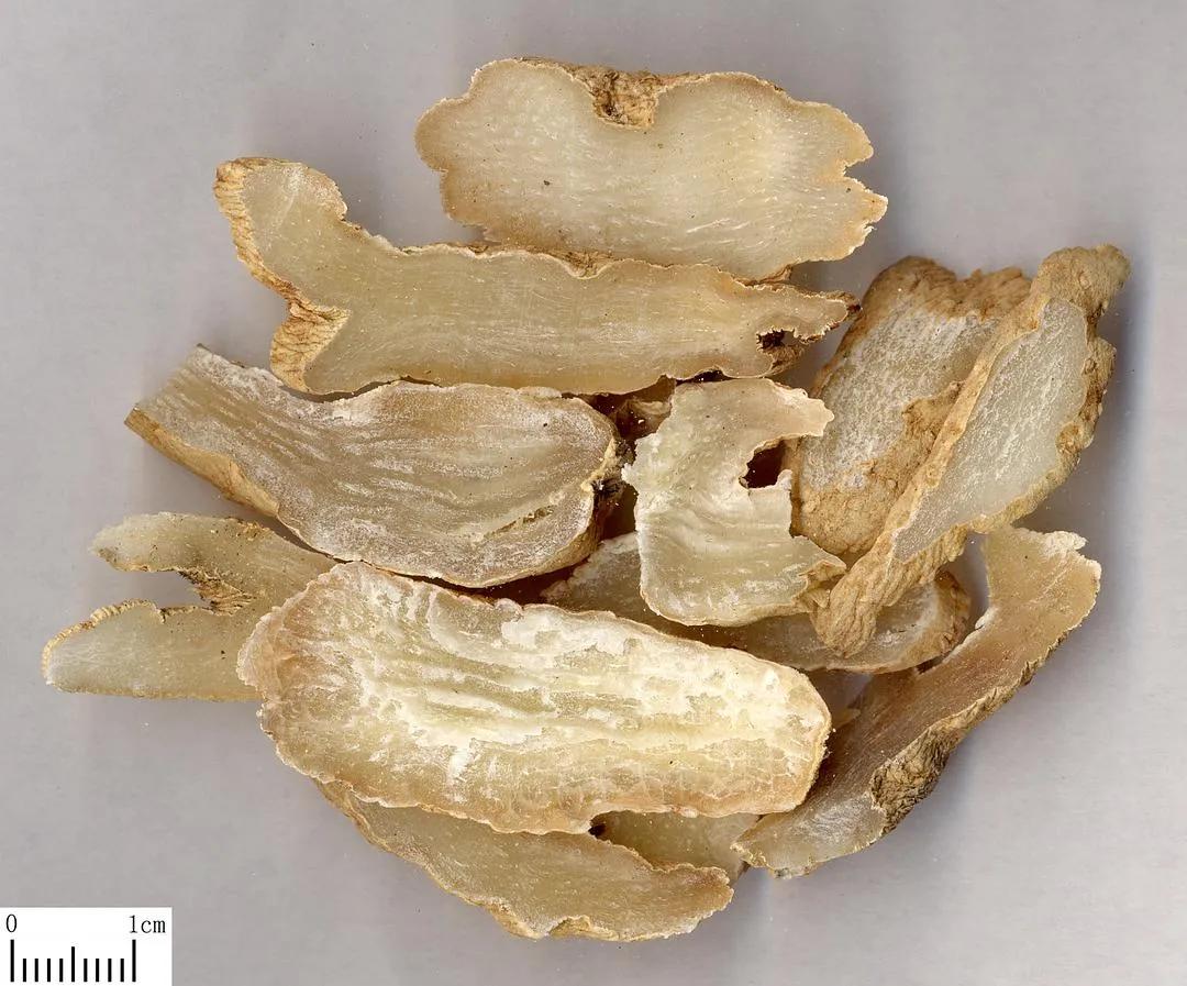 天麻可以预防半身不遂吗,天麻钩藤饮治疗半身不遂