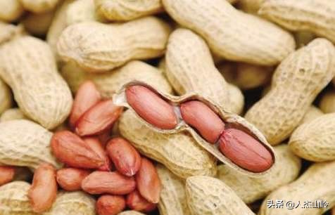 鑺辩敓濮戝娌冲崡,涓滄礊闂ㄦ潙