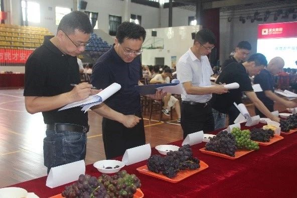 插上农业物联网的翅膀,慈溪葡萄能否扭转产业局面?