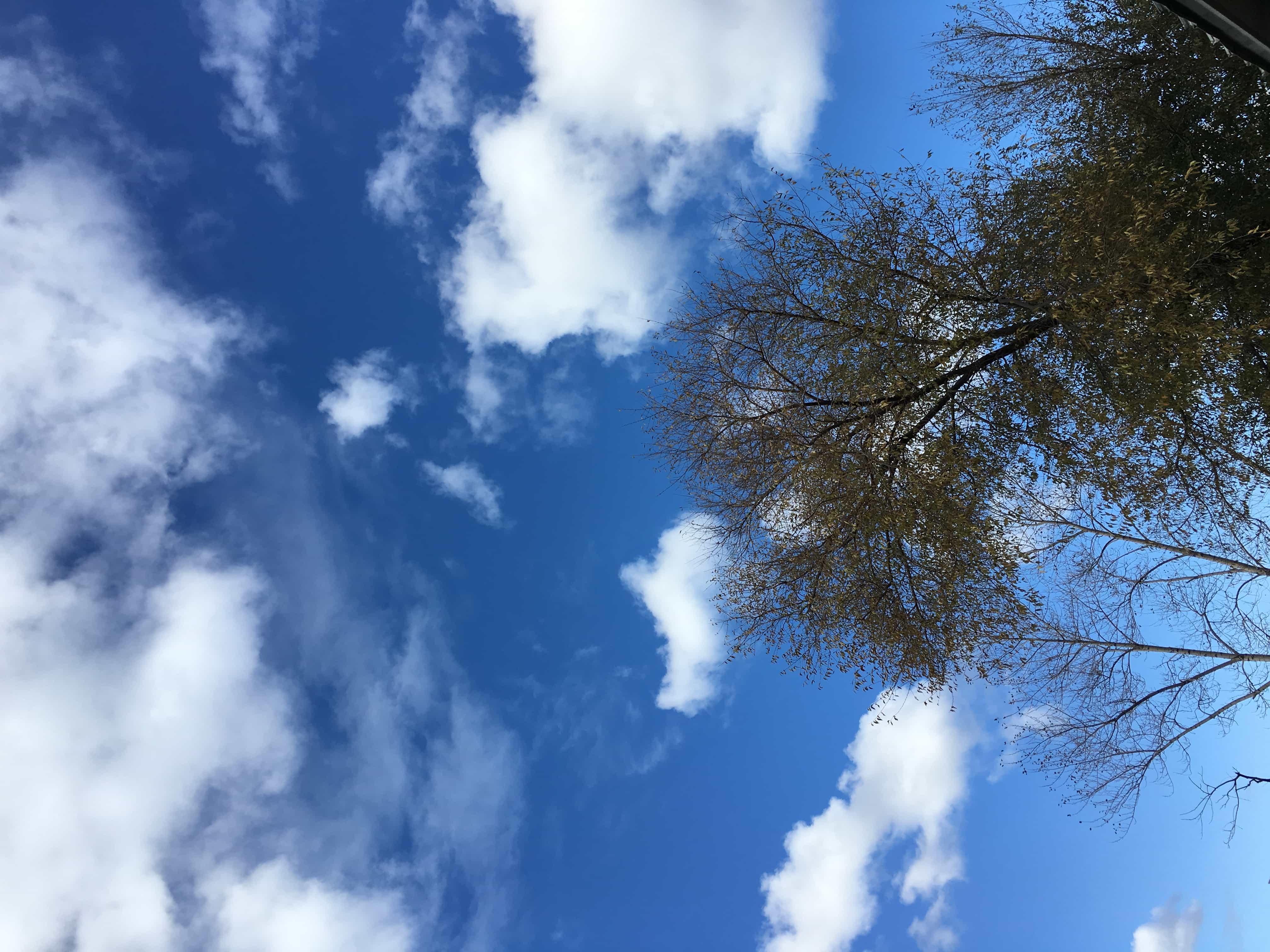 实不相瞒，我就是鹤岗的女婿