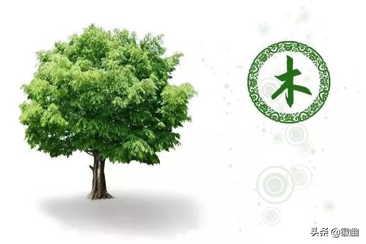 金木水火土五行都不缺的人,金木水火土都有五行缺什么