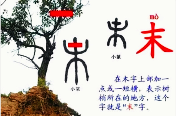 对汉字六书的认识,常见的汉字六书分析表