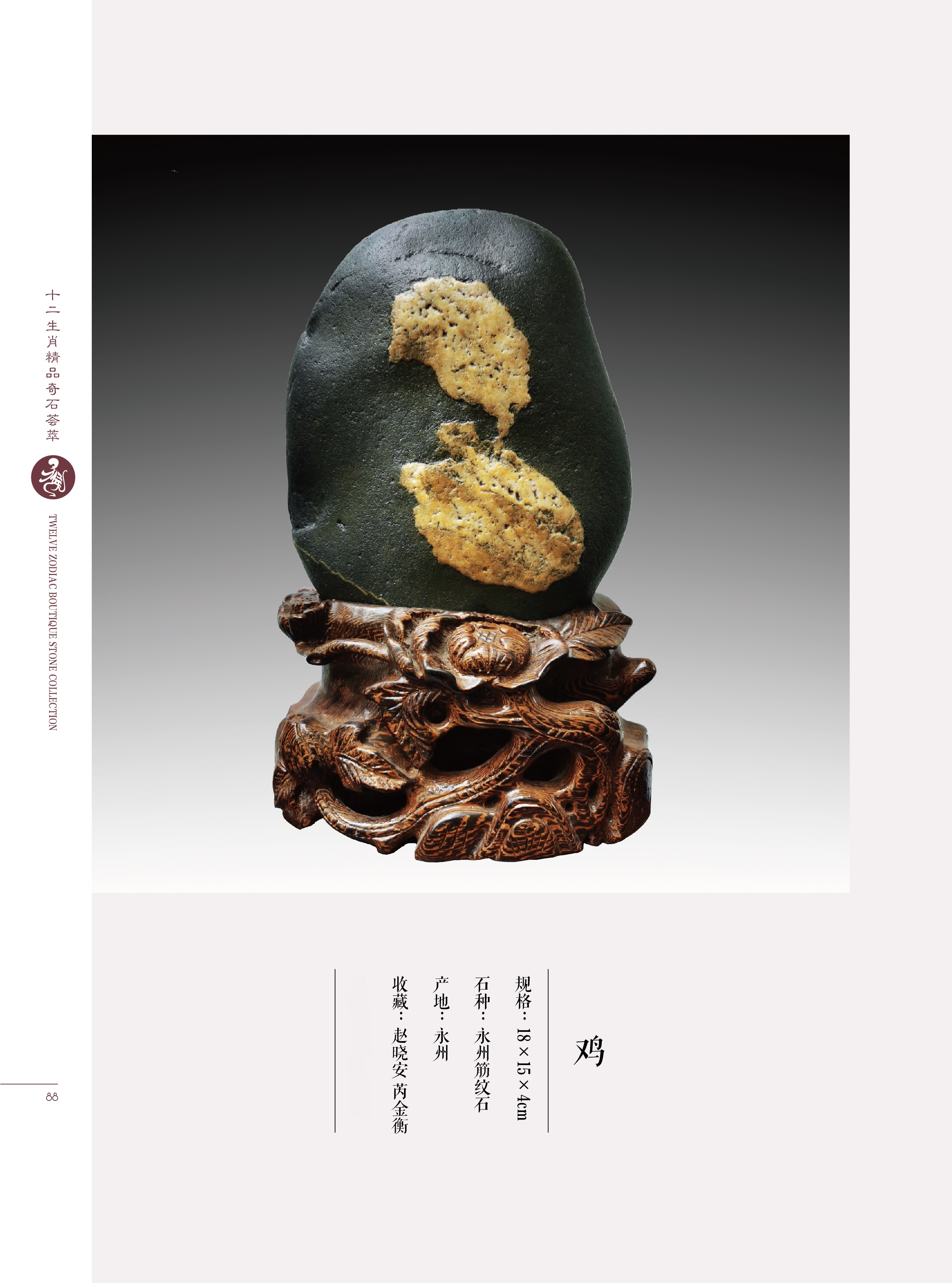 难道猴子真是石头变的?