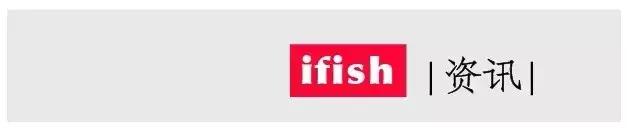 原生资讯｜和平与战争的使者-英贝利斯斗鱼