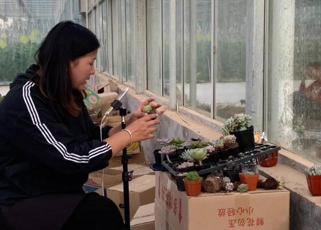 农村互联网养殖创业政策,互联网农民致富