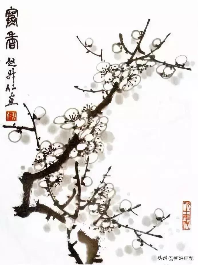 国画梅花画法视频,徐湛梅花画法教程