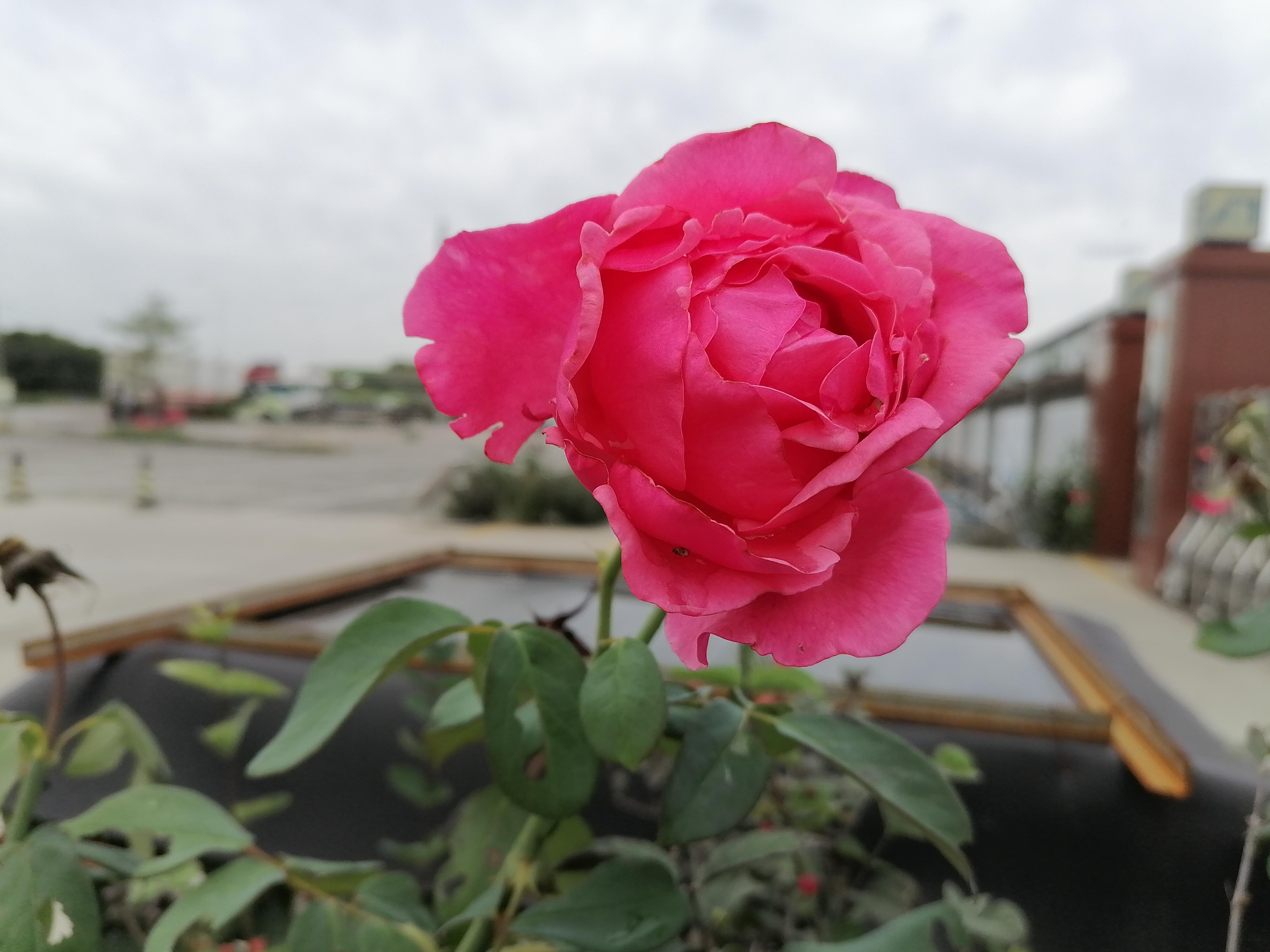 在孤独和痛苦中摸索前行,一个人在黑暗中摸索前行