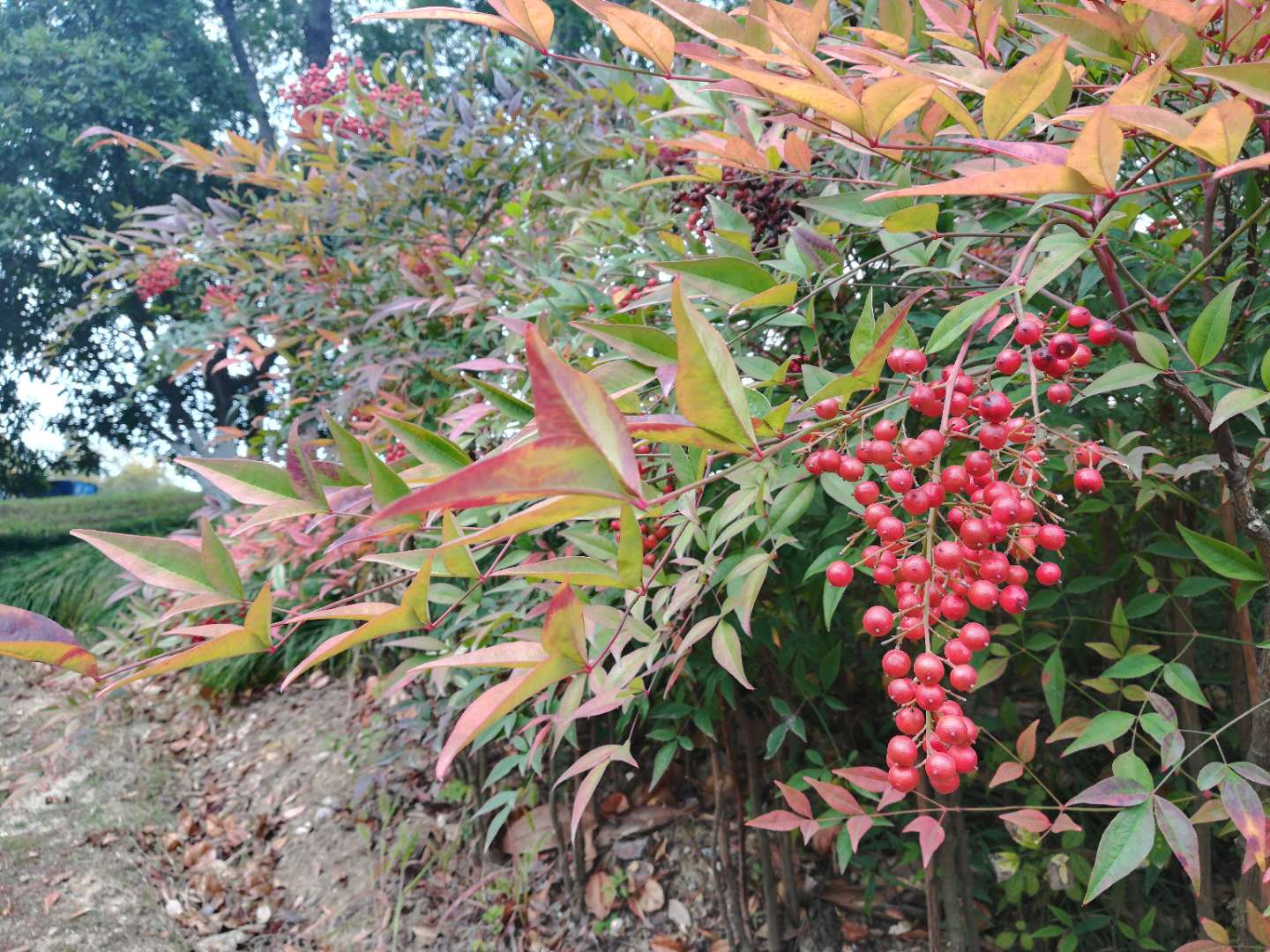 徒步无锡古运河寻找美景,无锡最美沿太湖路线