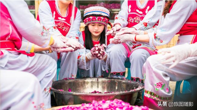 大理和版纳哪个知名度高,大理目前人气