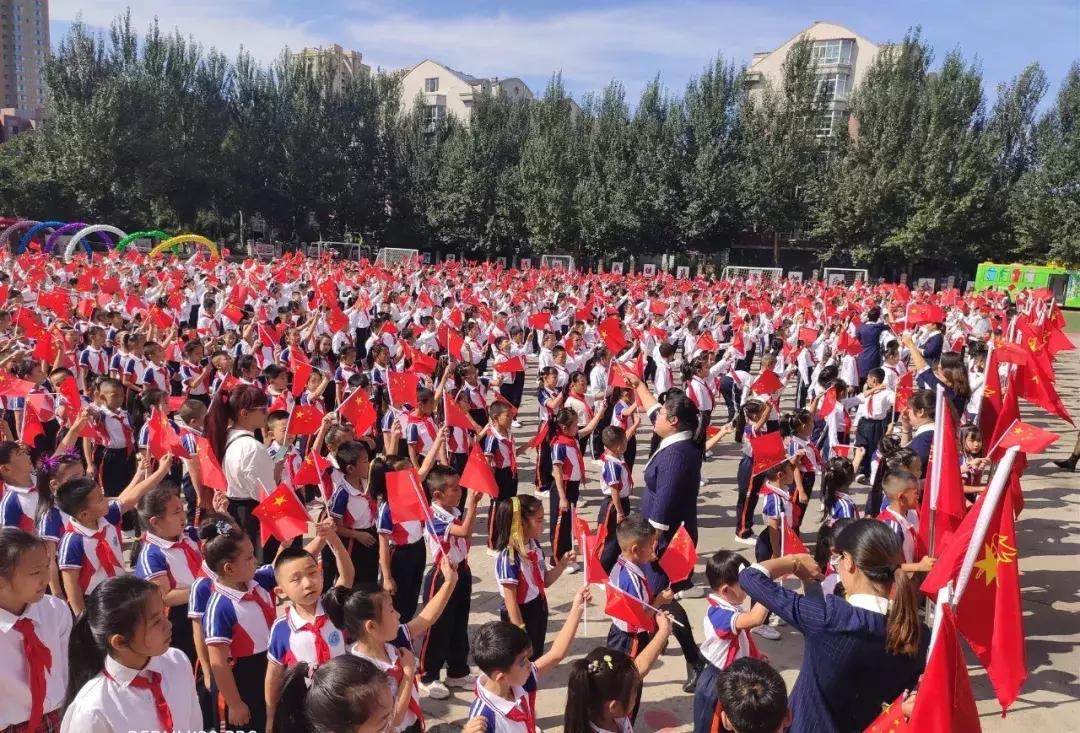 新区好学校,新区好的小学