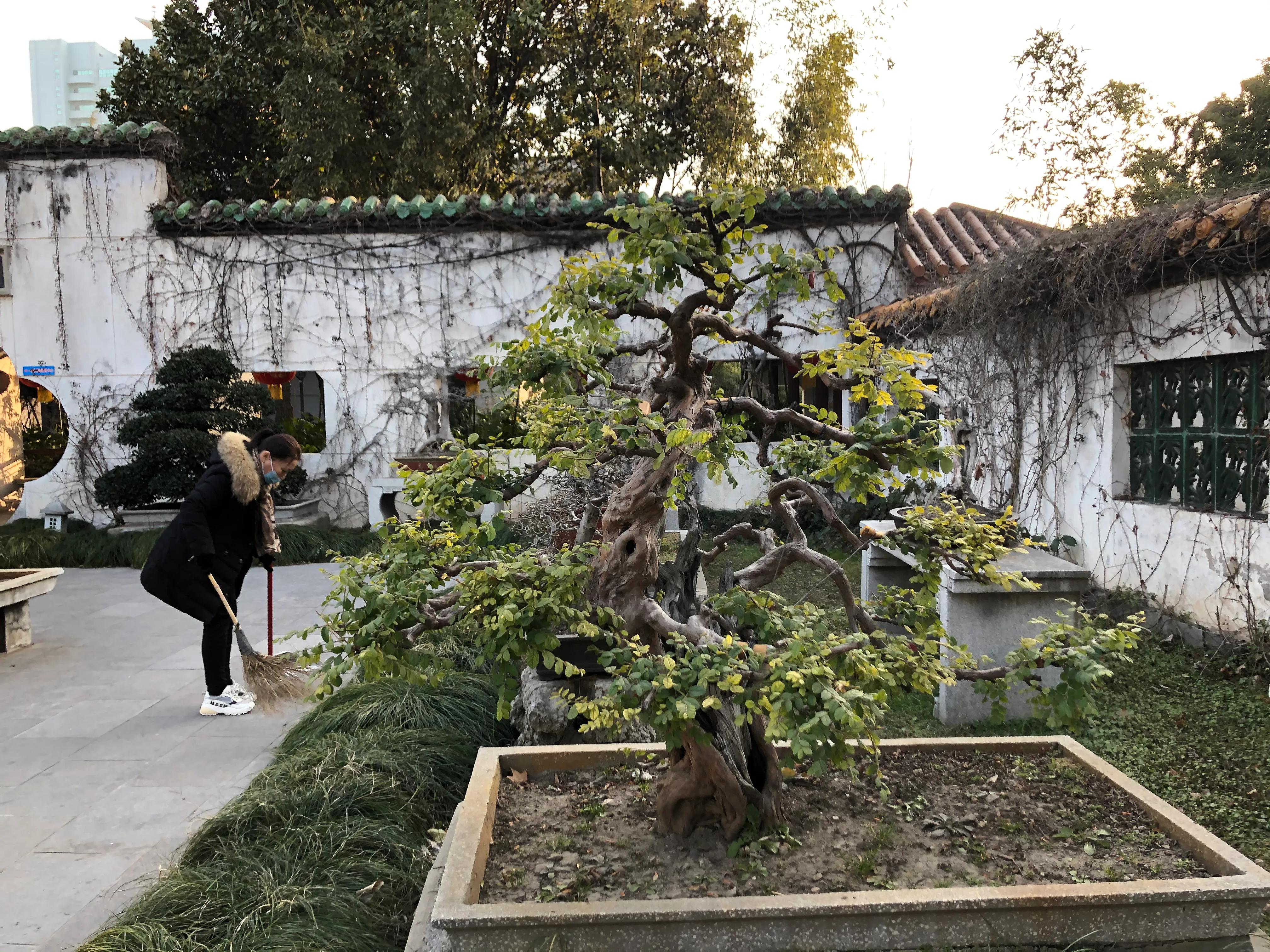 平顶山河滨公园旅游攻略,平顶山森林公园游记