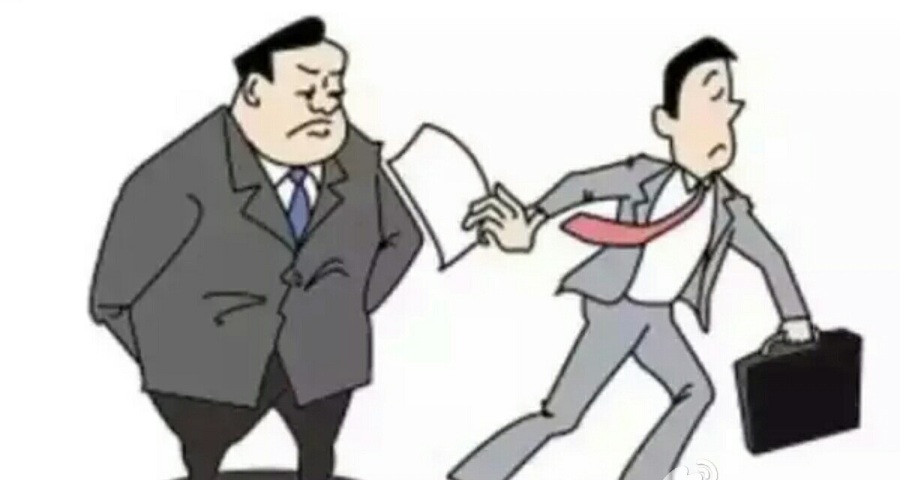 为什么蛇的舌头会分叉,面试官为什么会淘汰你