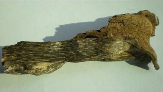 沉香入门知识大全书,各类沉香玩法的入门大全