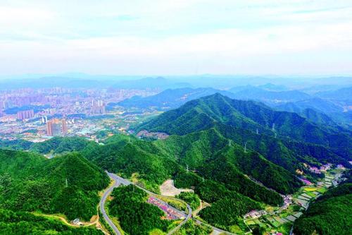农业经济管理专业分析,农林经济管理学就业方向及前景