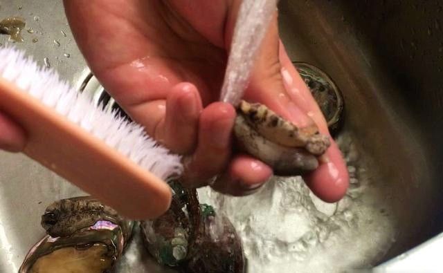 鲍鱼最简单的做法怎么做好吃,鲍鱼的做法清淡简单快速