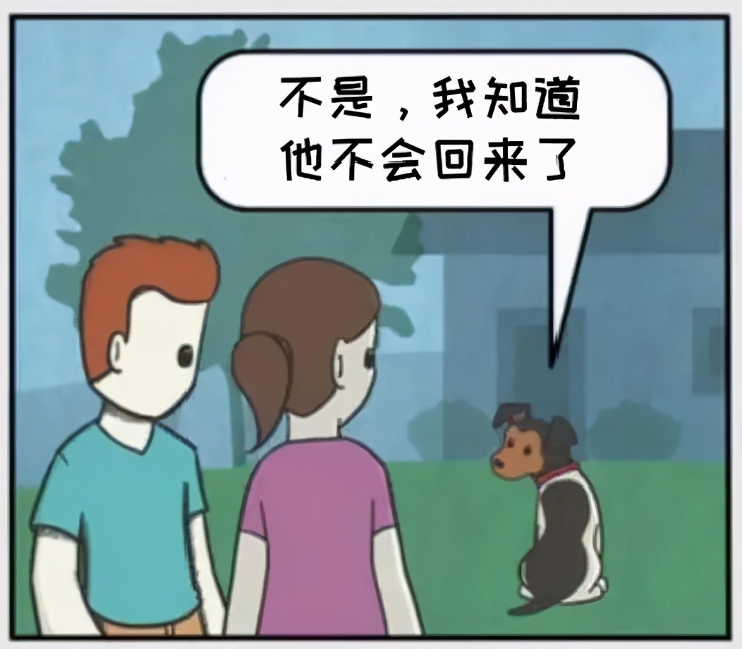 铲屎官和狗子的漫画,铲屎官和狗子们漫画