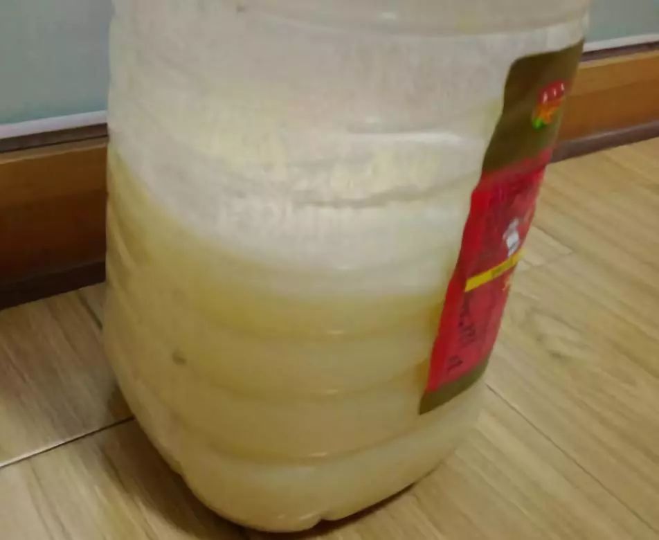 1个洋葱丢盆里,花朵砰砰开,一下能变2个头,省钱了!