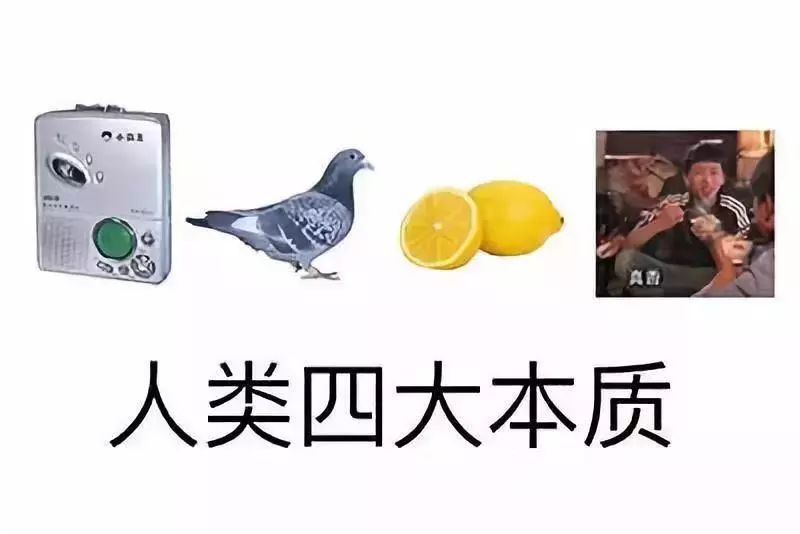 父母秀恩爱对子女的好处,父母特别秀恩爱的方式