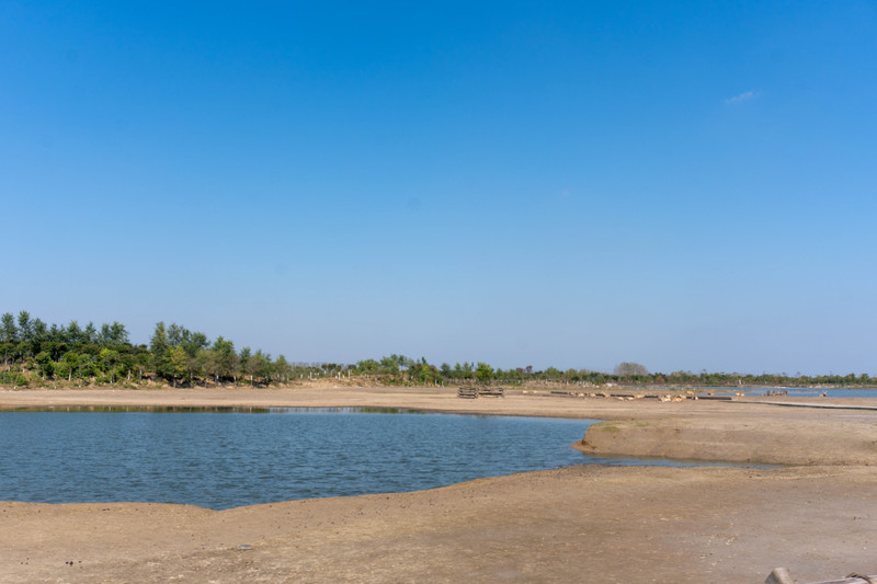 森林麋鹿公园,森林麋鹿