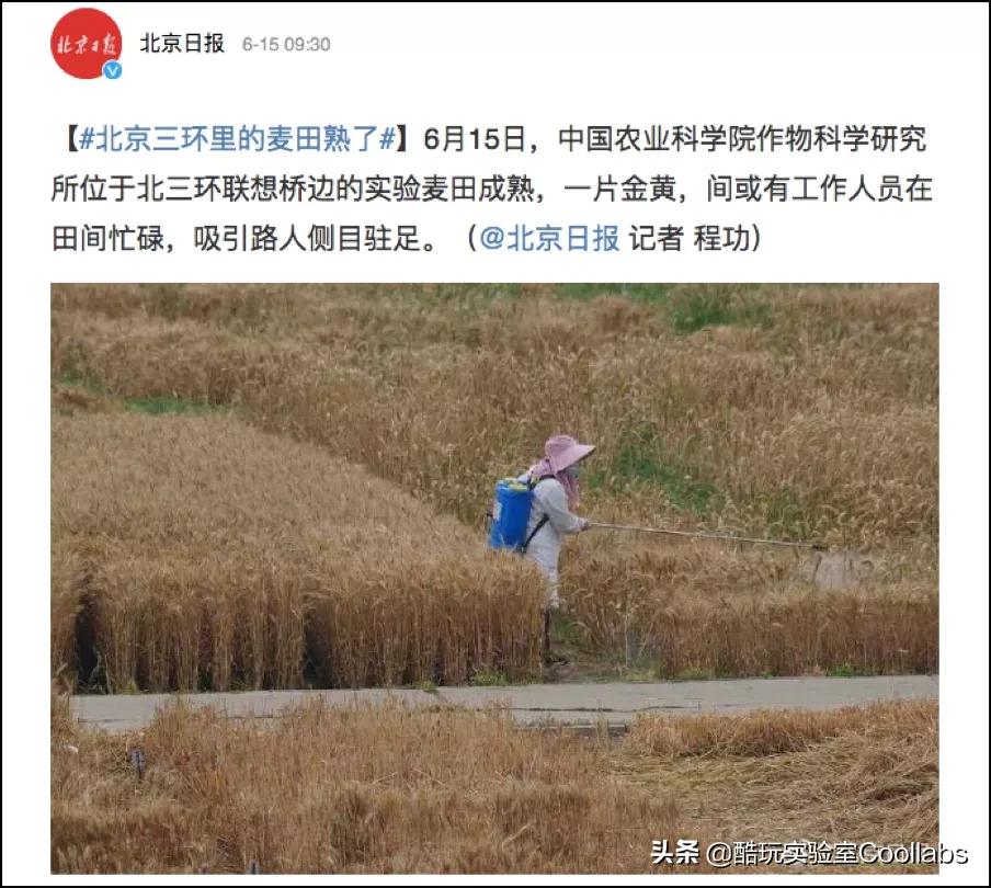 北京三环农田,北京三环麦田房价