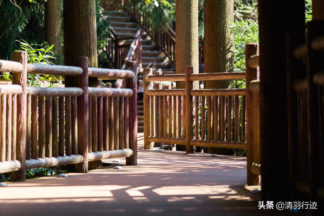 四川天然氧吧旅游推荐,四川天然氧吧有哪些地方