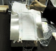 英国花王纸尿裤跟日本的哪款好用,老爸评测36款纸尿裤