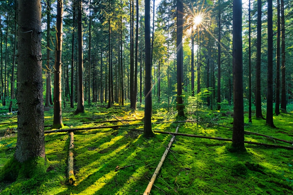 奇妙知识大科普,5个奇葩冷知识颠覆认知