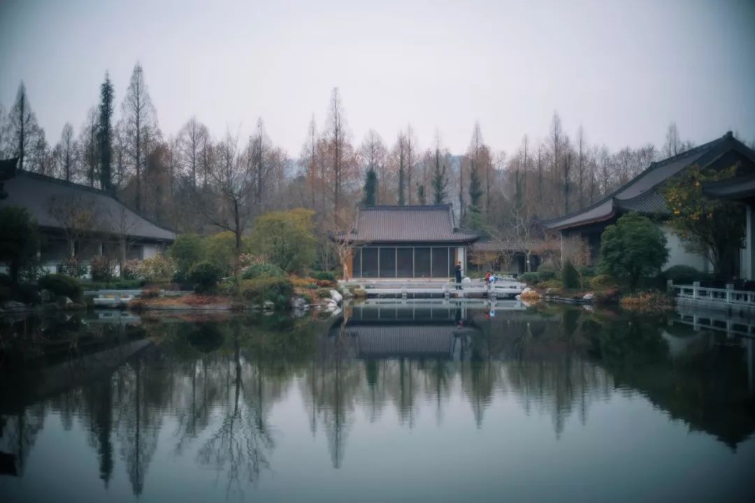杭州餐厅高端好的推荐,杭州适合过生日的餐厅