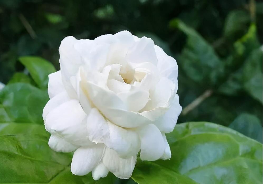 怎么看出有没有忘掉前任,真正忘掉前任的表现