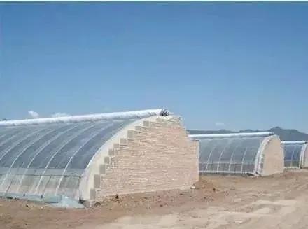 大棚立体种植蔬菜一亩顶20亩,大棚种植蔬菜一年可以收入多少钱