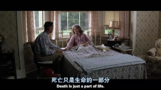 阿甘正传简单解读与赏析,阿甘正传深度解析阿甘