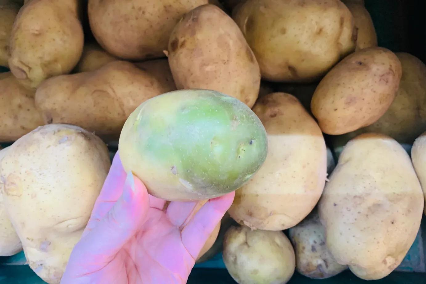 夏天土豆怎么保存不发芽不变绿,土豆削皮后真空包装可以保存多久