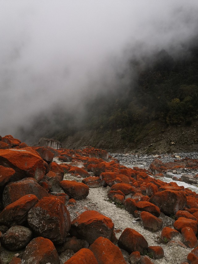 大美川西贡嘎燕子沟,甘孜燕子沟二日游攻略
