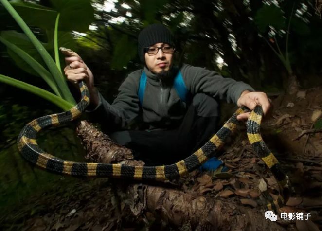 如此「变态」的欲望，这届有钱人真猛