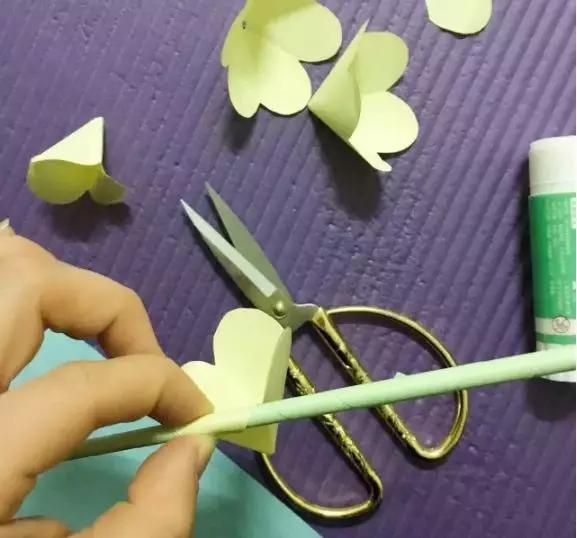 有颜色的玫瑰是怎么做出来的,白玫瑰怎么做七彩玫瑰