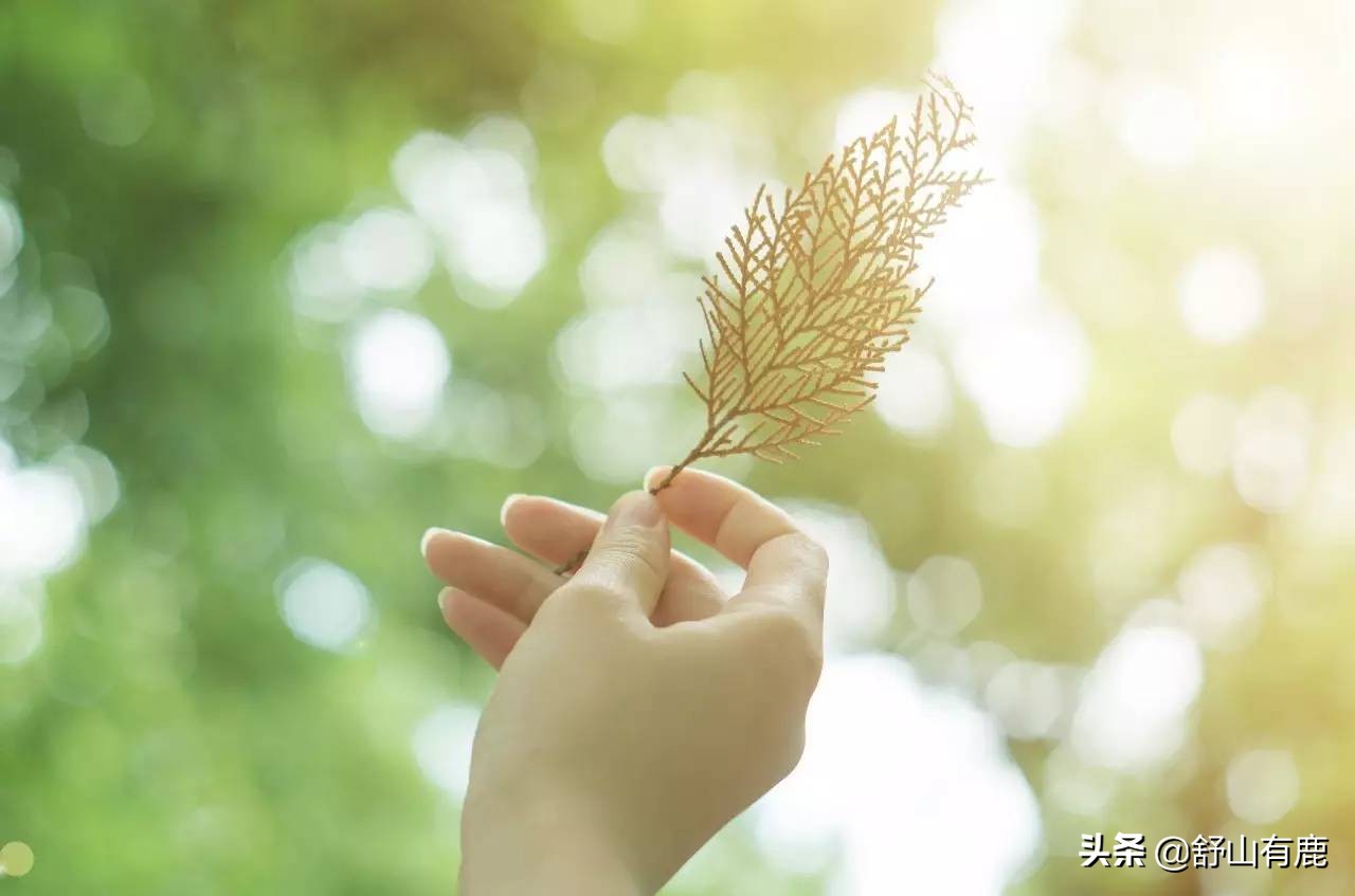 当被人“欺负”时，别盲目去“忍”，不妨做到这几点，扭转乾坤