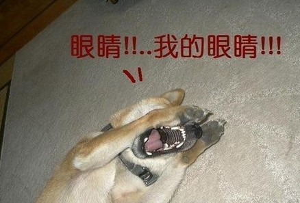 结膜炎流眼泪用眼药水没用怎么办,结膜炎眼睛流眼泪严重用什么药水