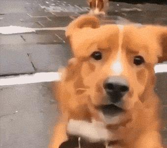 长春轻轨沿线的学校,长春靠近地铁的高中