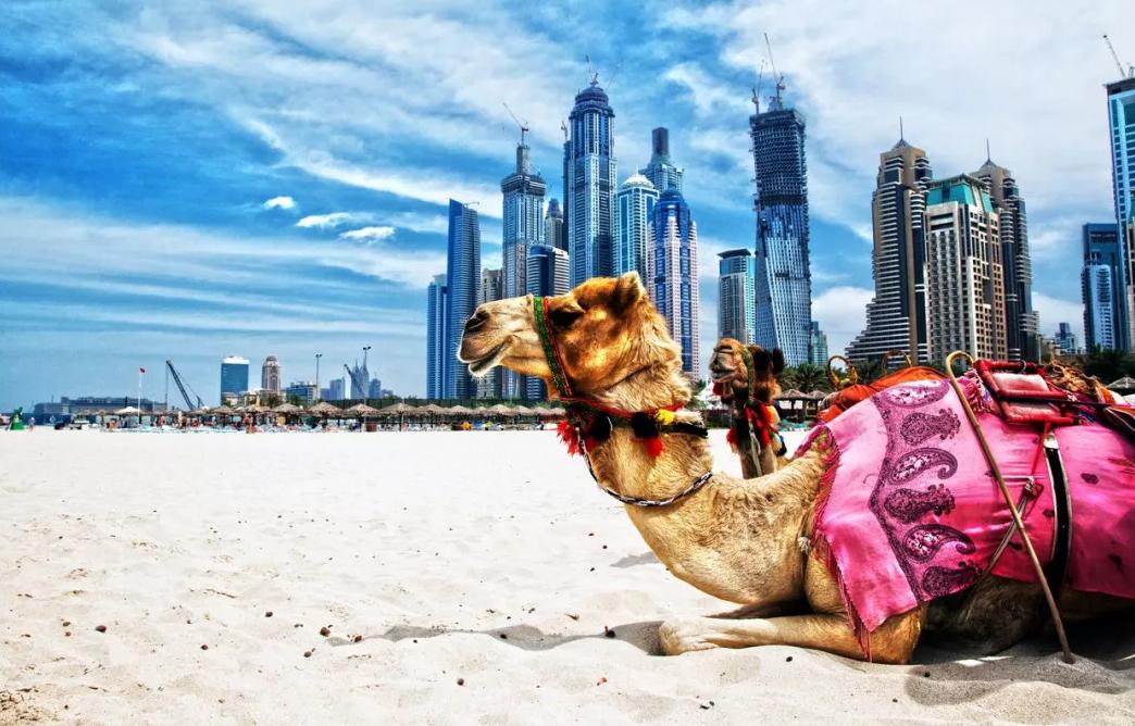 迪拜王子穆罕默德,迪拜酋长穆罕默德曾经被抓