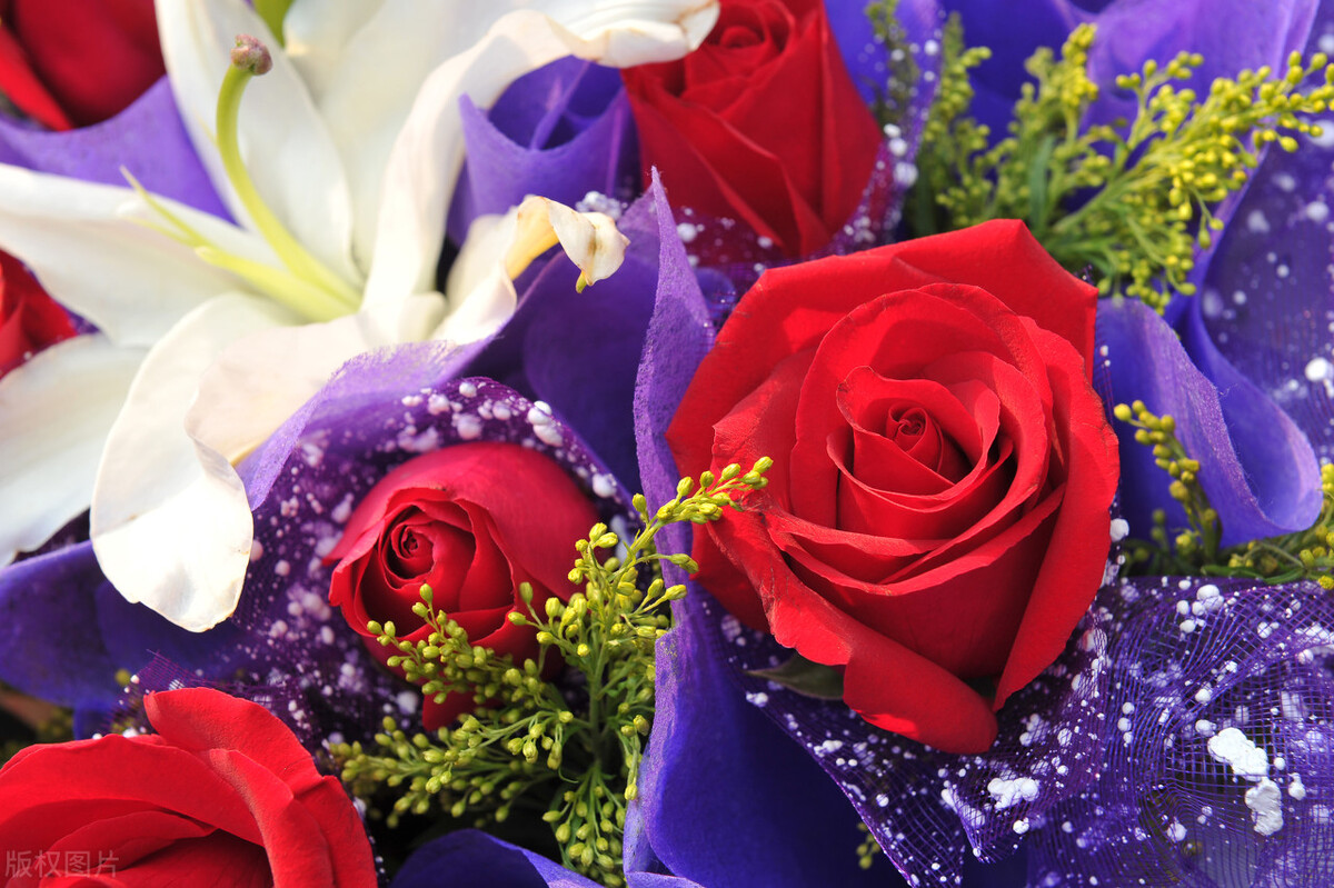 七夕｜以燕窝之名，宠爱她，让她每天都是情人节