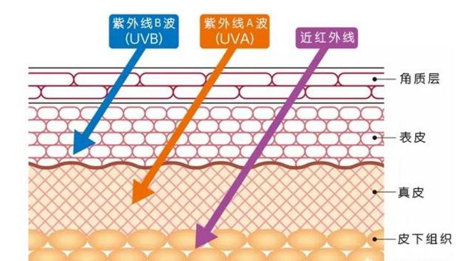 面部皮肤松弛怎么紧致小妙招,面部衰老松弛怎么调理