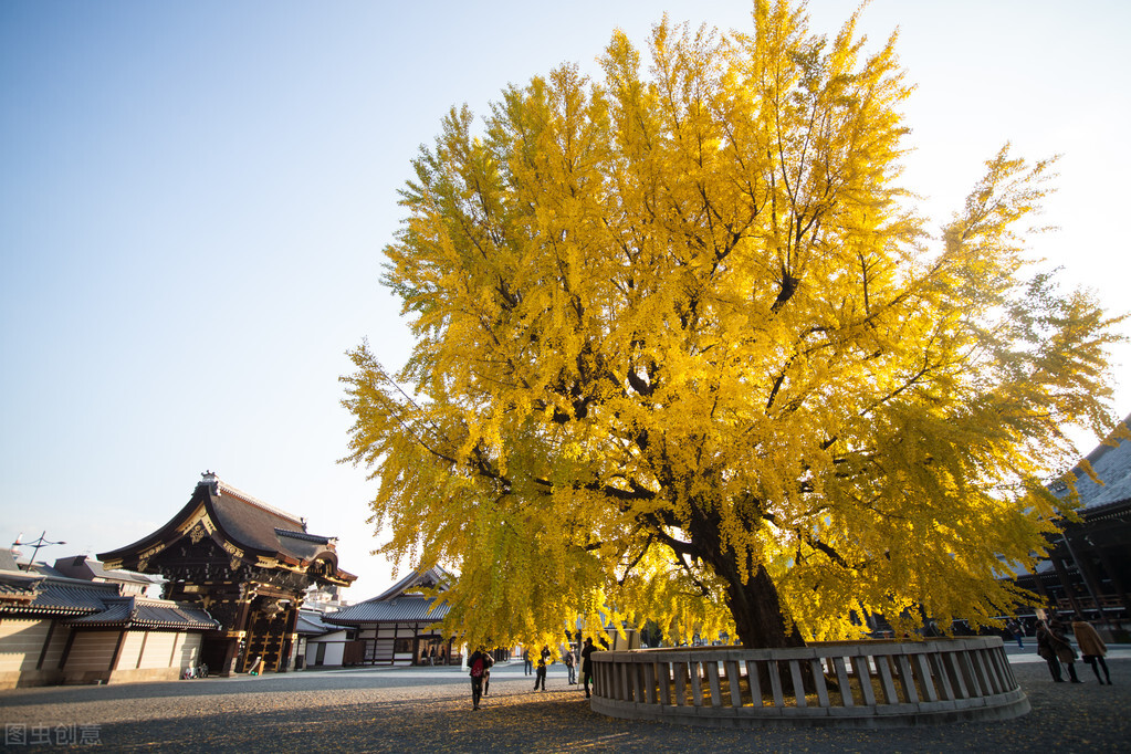 了凡四训七句箴言知命改命不难,除了了凡四训还有什么改命的故事