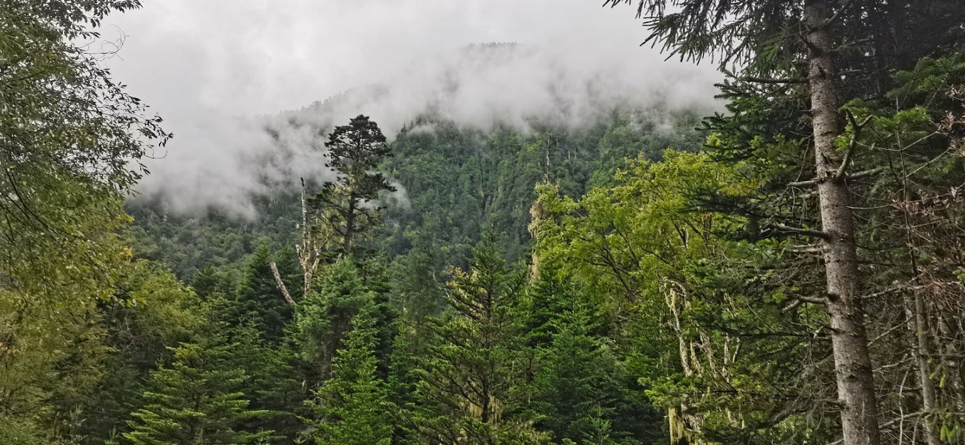 一生必去一次雨崩,雨崩一生必来一次吗